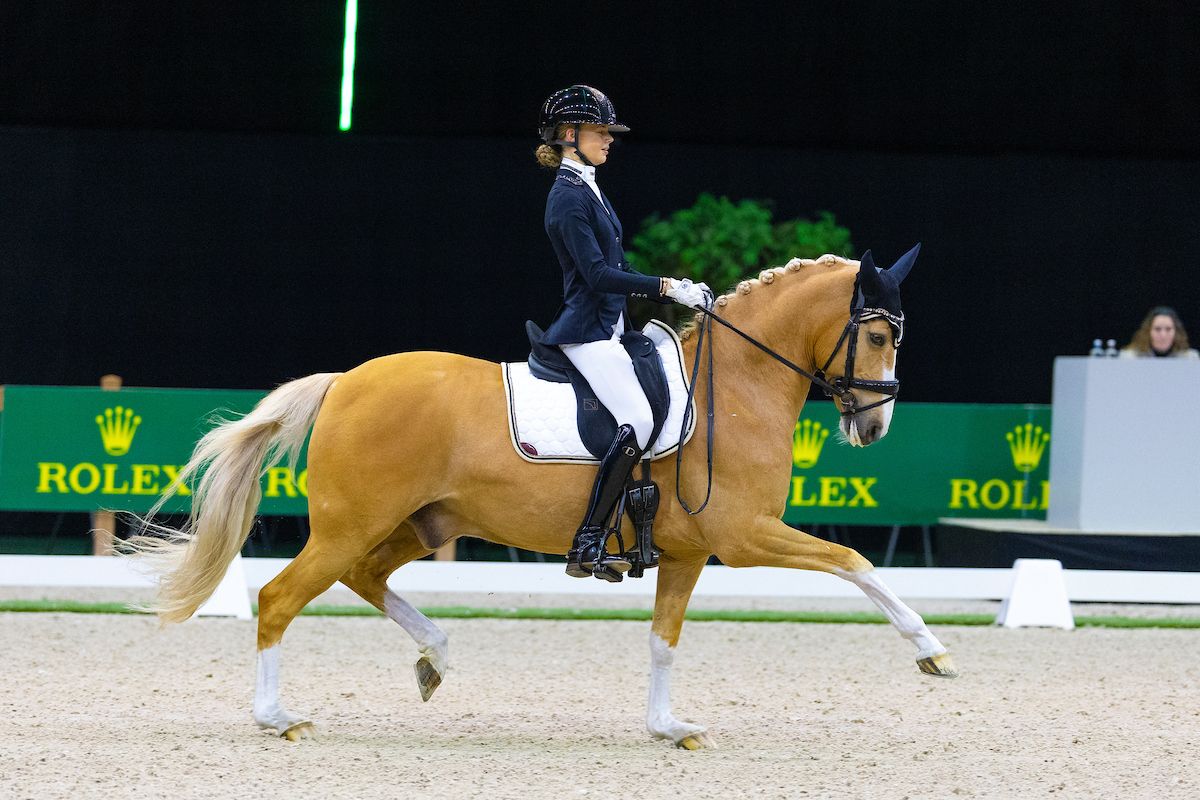 Karajkovic wint Bestronics Prijs, Restaurant ’t Zusje Prijs voor Tasseron