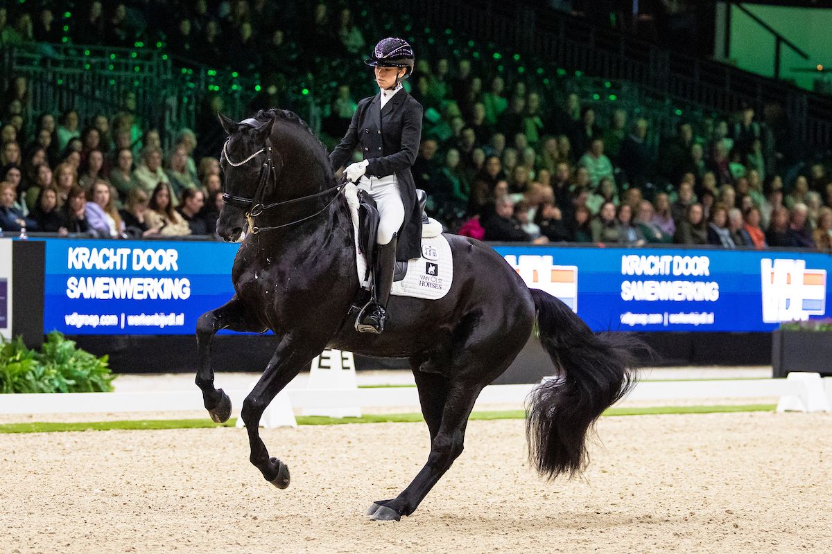 Glamourdale toch naar The Dutch Masters